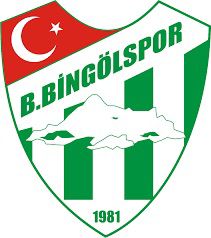 BİNGÖL BELEDİYE MASTERLER