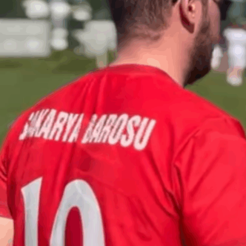 Yakup Haluk BAŞARAN
