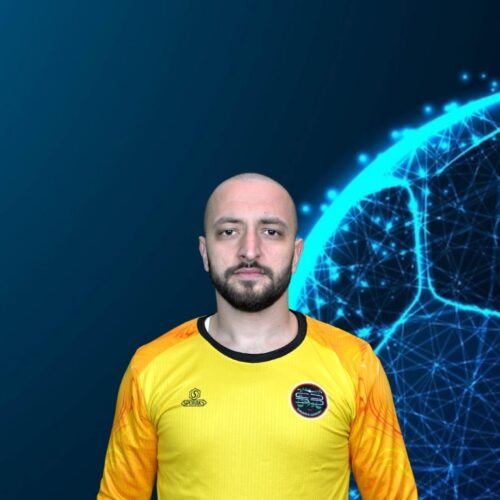 Sefa GÖKÇE