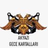 Akyazı Gece Kartalları