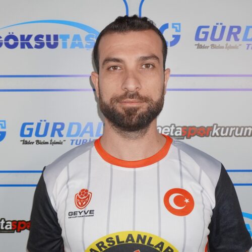 Mesut ERGİN