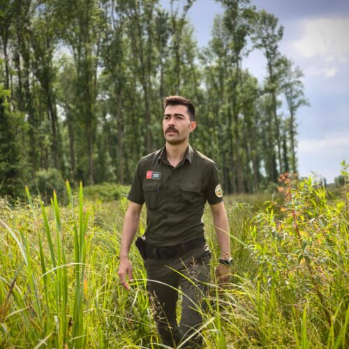 Serdar ŞATIR
