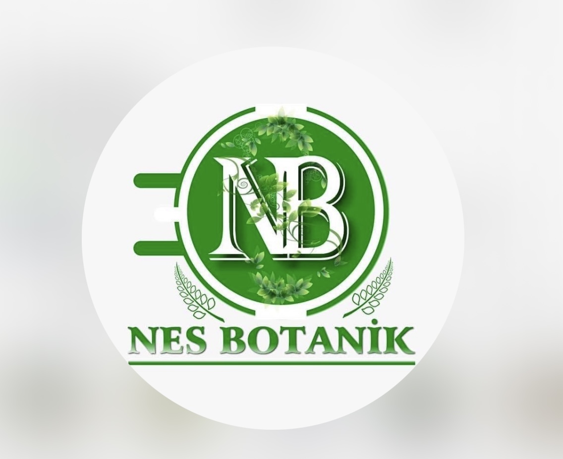 Gece Kartalları