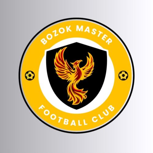 Bozok Master