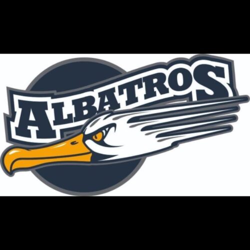Albatros Masterler