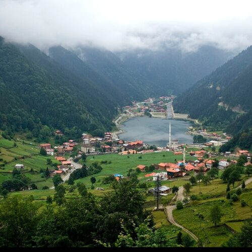 Trabzon Bölgesi