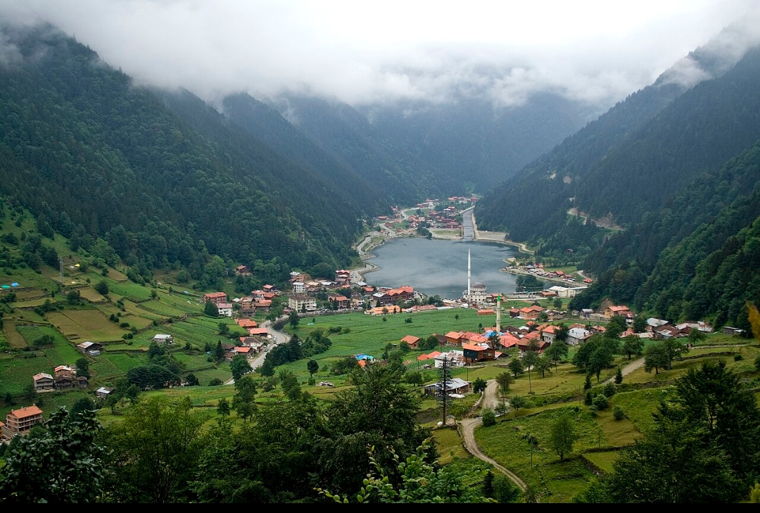 Trabzon Bölgesi