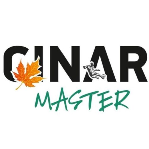 Çınar Master