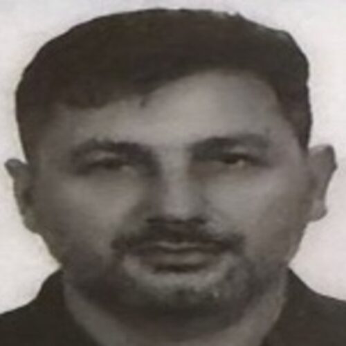 Gökmen SARAL