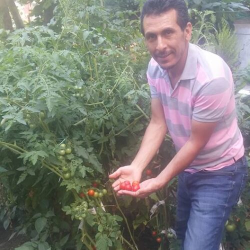 Umut AVCI