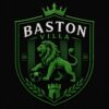 BASTON VİLLA
