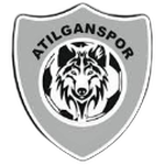 Arifiye Atılganspor