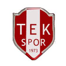 Sakarya TEK
