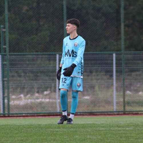 Yavuz Selim YILDIRIM