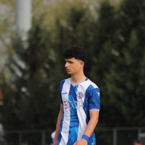 Ahmet Ege DÖLEN