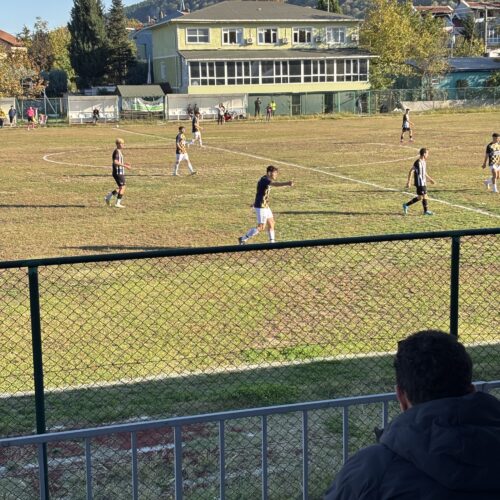 Muhammed Emin DOĞAN