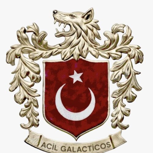 DMR OTO Acil Galacticos