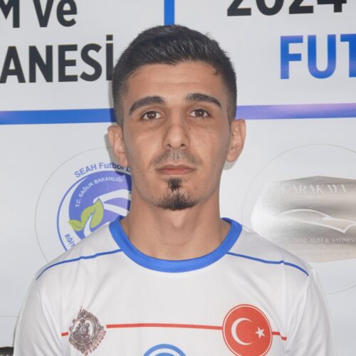 Aslan ASLAN
