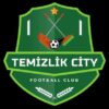 Temizlik City