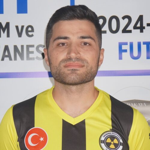Mehmet YILDIZ