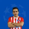 Ahmet Yılmaz SİRKE