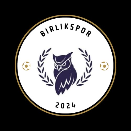 Birlik Mavi Baykuş Gece Pilavcısı